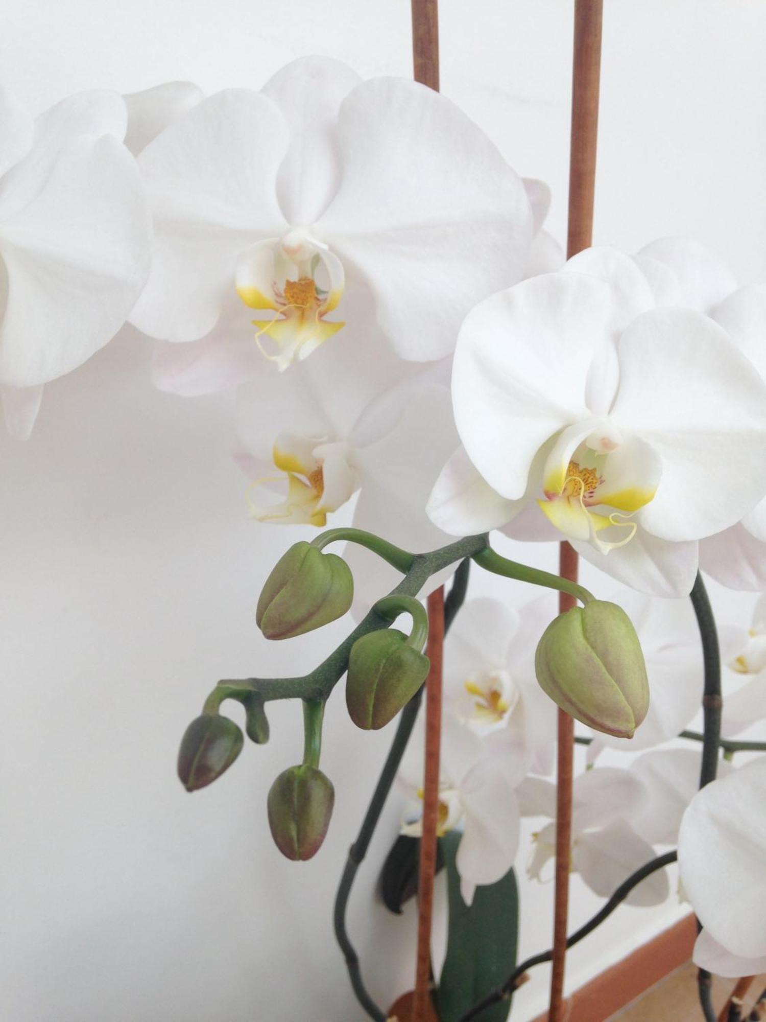 Bed And Breakfast Charming House Barletta Pokoj fotografie